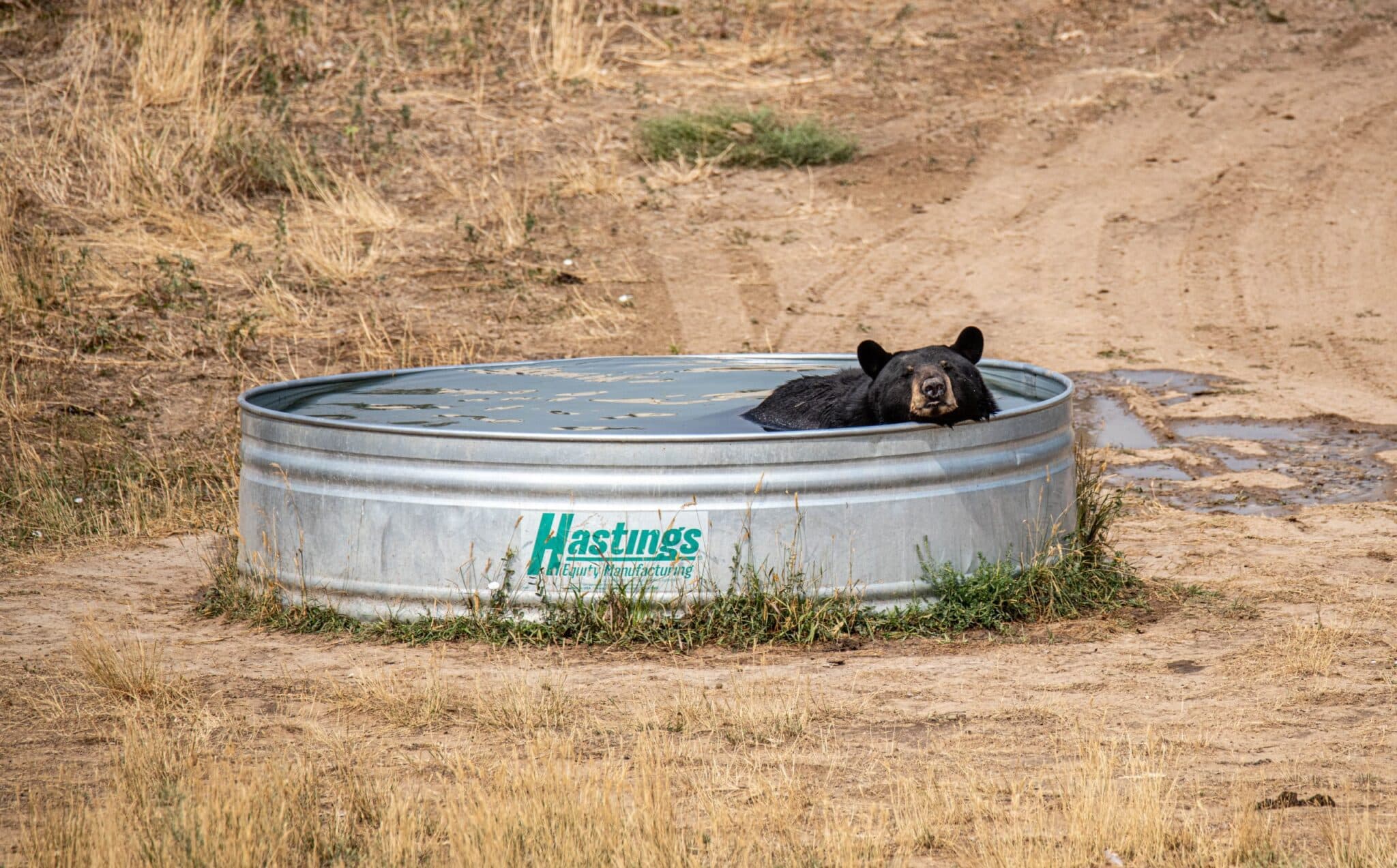 You are currently viewing The Anatomy of a Successful Hot Tub Move: Step-by-Step Guide