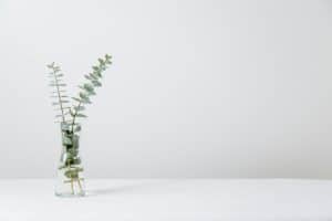 Read more about the article Relax and Relocate: The Benefits of Using Spa Moving Services